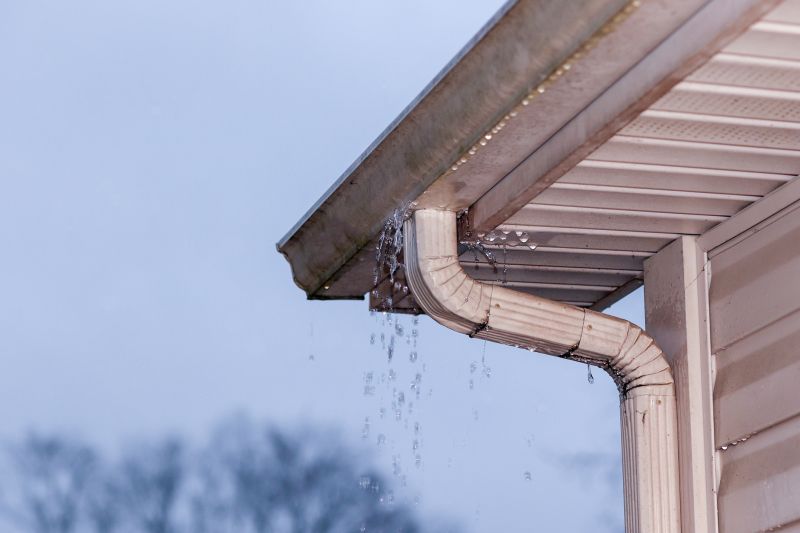 Gutter and Flashing Repairs